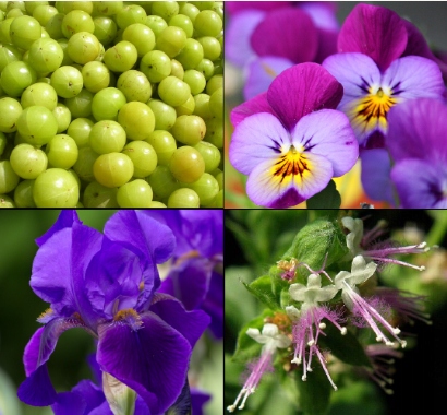 7a39e9057775e8ed1aa7c4c4770b241c
